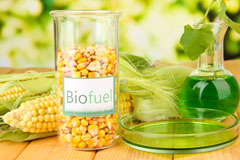 Llangattock Lingoed biofuel availability