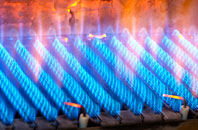 Llangattock Lingoed gas fired boilers
